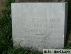 Martha Jane Garrison Pedigo