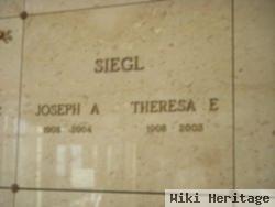 Theresa E Siegl