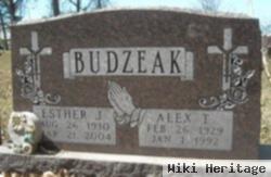 Alex T. Budzeak