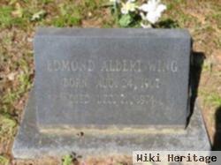 Edmond Albert Wing