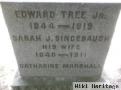 Edward Tree, Jr