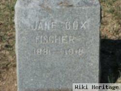 Jane Theresa Cox Fischer