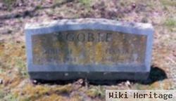 John H Goble