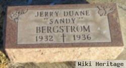 Jerry Duane "sandy" Bergstrom