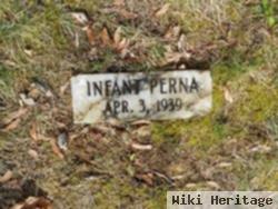 Infant Perna