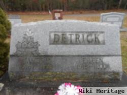 Eileen D Brush Detrick