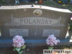 Mary A. Ruzicka Polansky