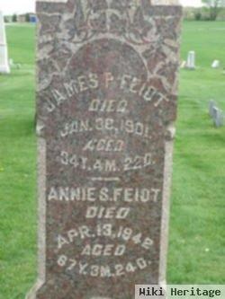 Annie Sarah Schreffler Feidt