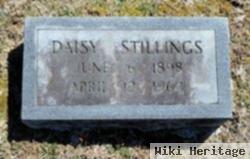 Daisy Stillings