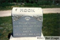 Mary Ann Hook