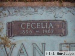 Cecelia Rogacs Hodovan