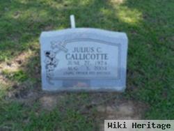 Julius Carlson Callicotte