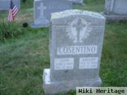 John Cosentino