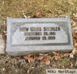 Amy Giles Sechler