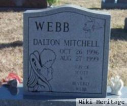 Dalton Mitchell Webb