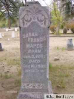 Sarah Frances Hall Mapes