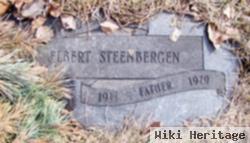 Elbert Steenbergen