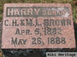 Harry Brown