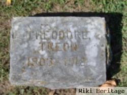 Theodore Treon