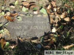 Ann V Koerner