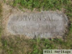 Elin L. Bosk Privensal