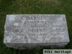 Helena Harvey