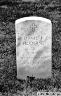 David F Hodgins