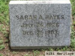 Sarah A Hayes