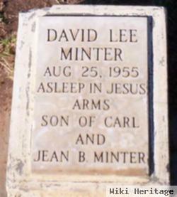 David Lee Minter