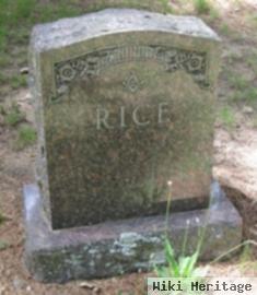 Ada E. Rice