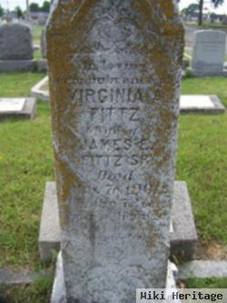 Virginia A. Fittz