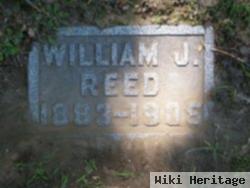 William J Reed