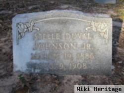 Steele Duval Johnson, Jr