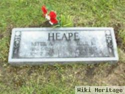 Nettie A. Hibbard Heape