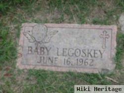 Baby Legoskey