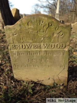 Brower Wood