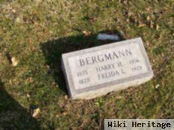 Harry H Bergmann