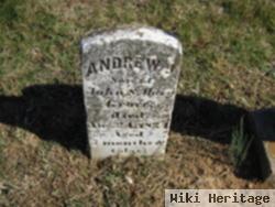 Andrew Jackson Grove