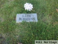 Lark Burkeens