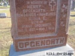 Henry Opgenorth