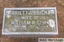 Harriett Amelia Brigham Sohn