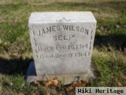 James Wilson Self