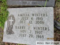 Harry J Winters