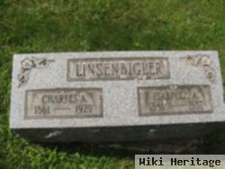 Isabella Sturgeon Linsenbigler