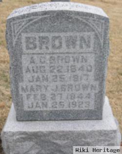 Mary J. Brown