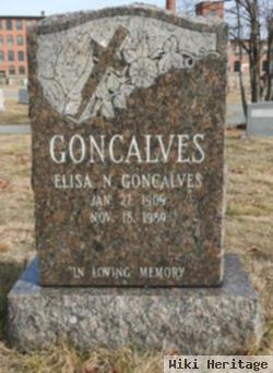 Elisa N Goncalves