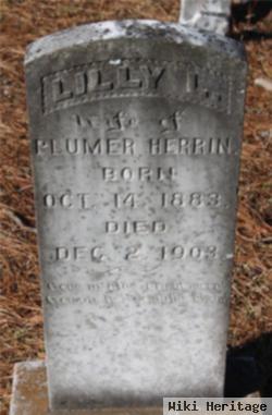 Lilly L Herrin