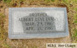 Albert Levi Evans