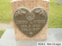 Jerry L Hicks