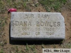 Dana Bowles